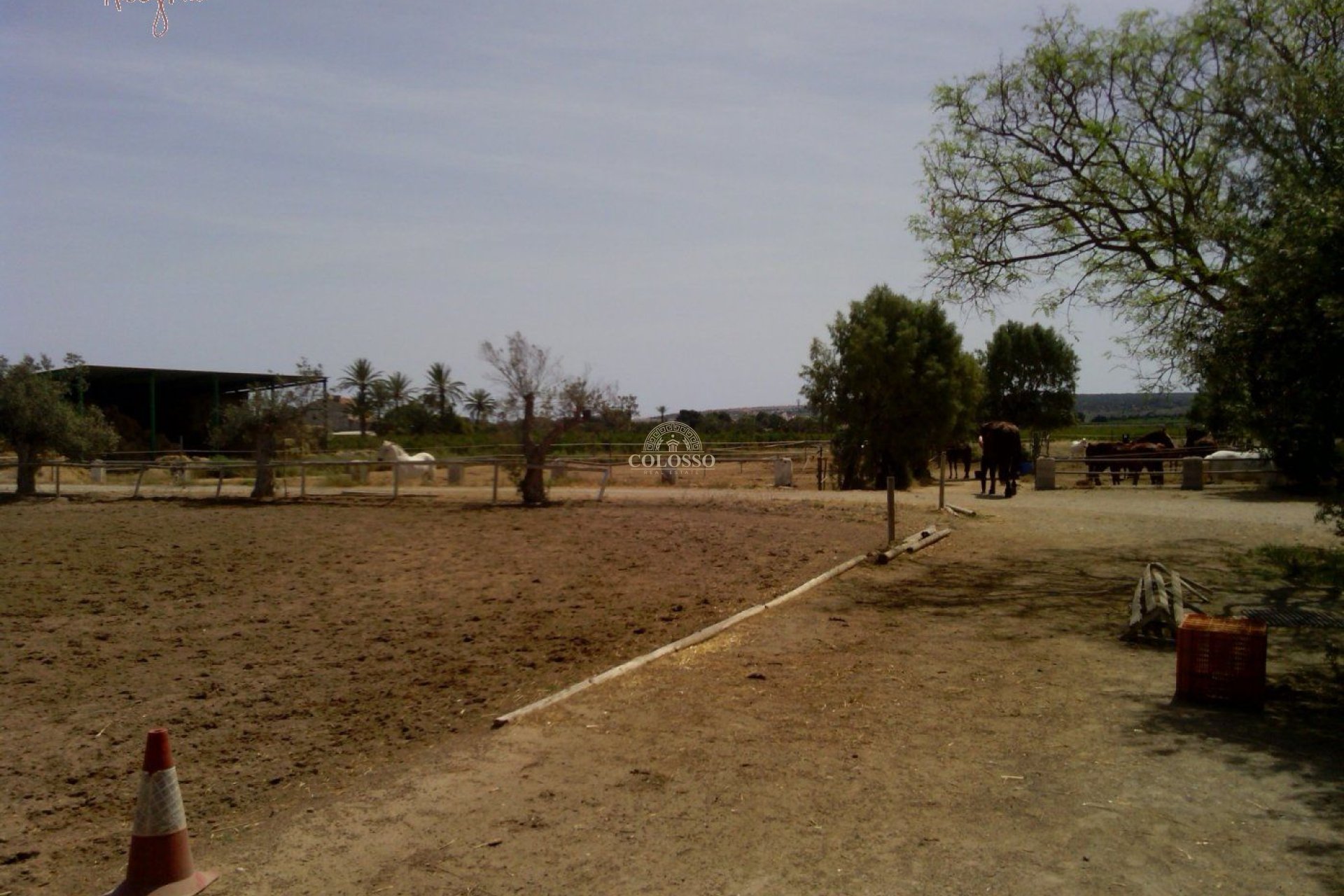 Reventa - Hacienda -
Elche