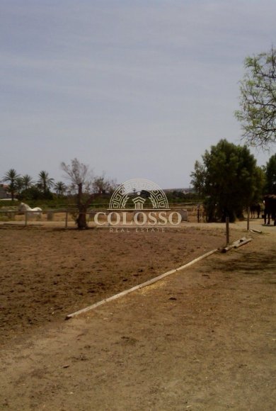 Reventa - Hacienda -
Elche