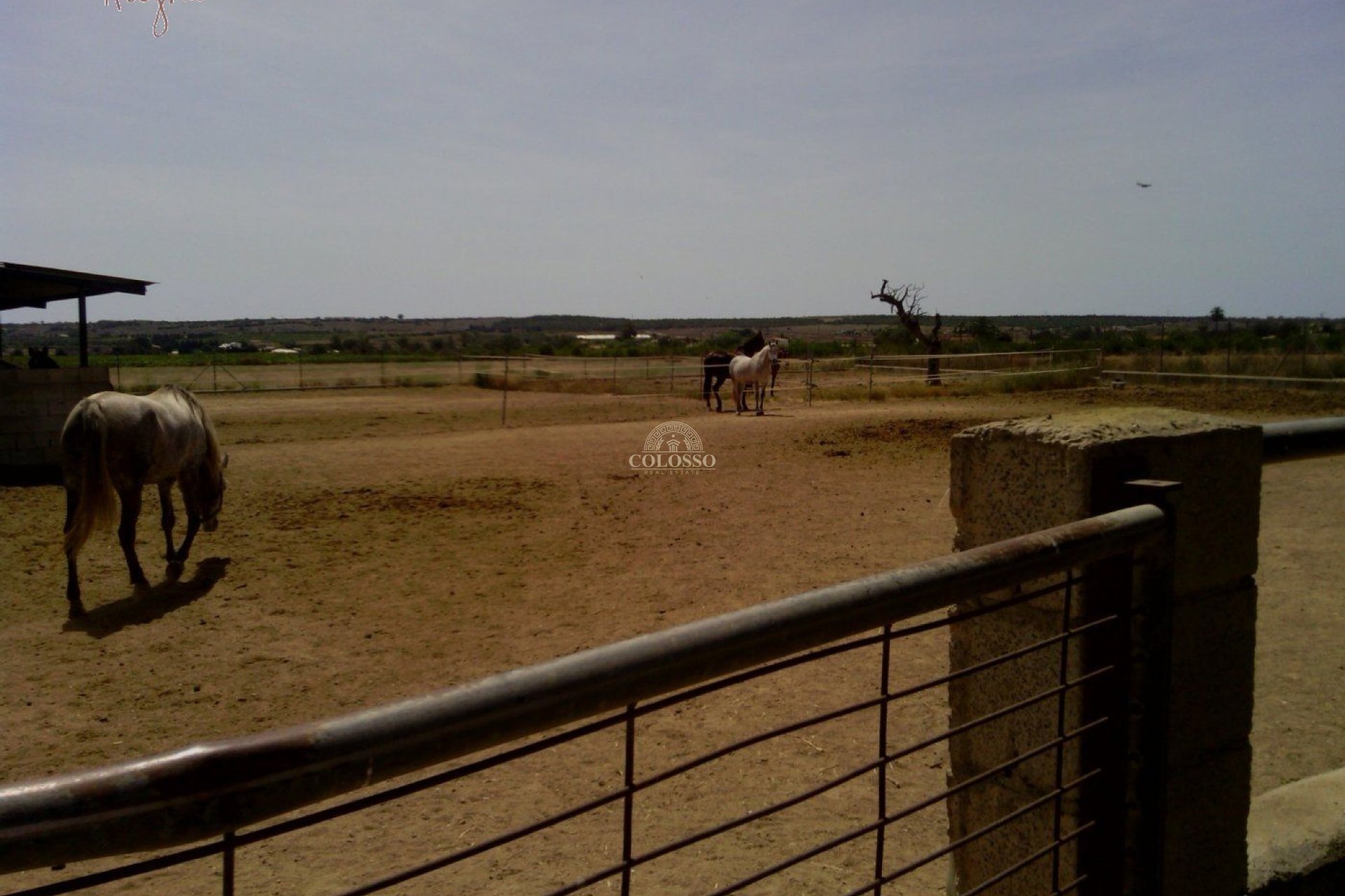 Reventa - Hacienda -
Elche