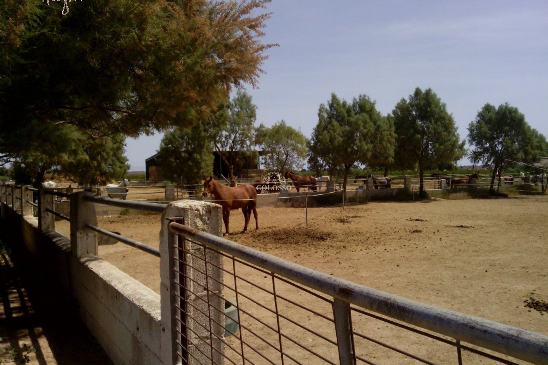 Reventa - Hacienda -
Elche