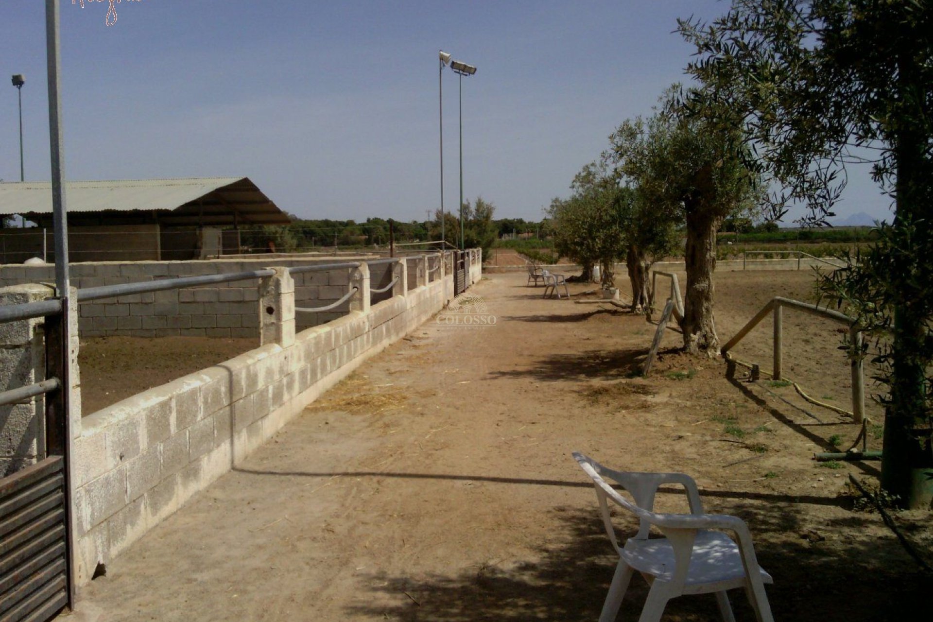 Reventa - Hacienda -
Elche