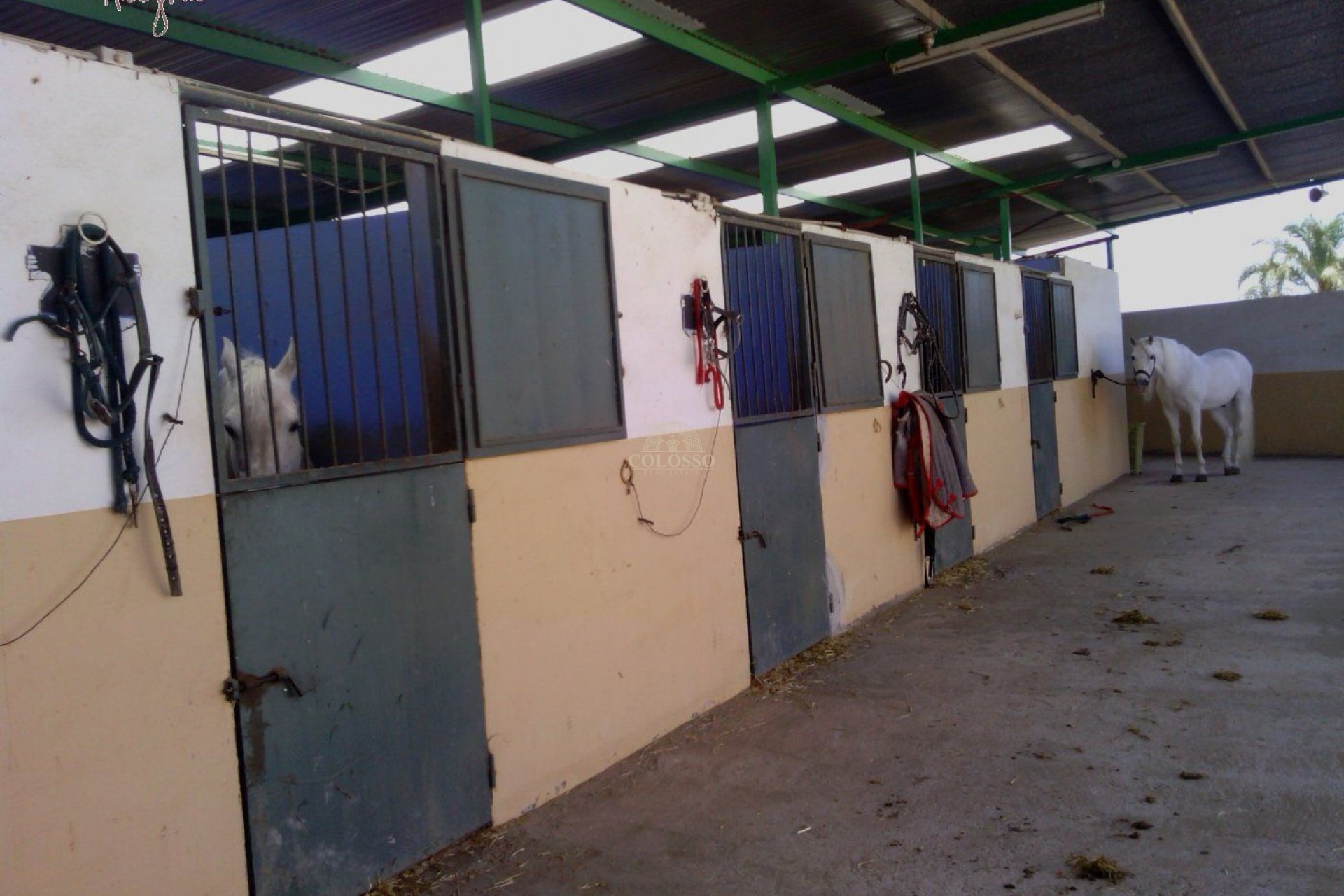 Reventa - Hacienda -
Elche