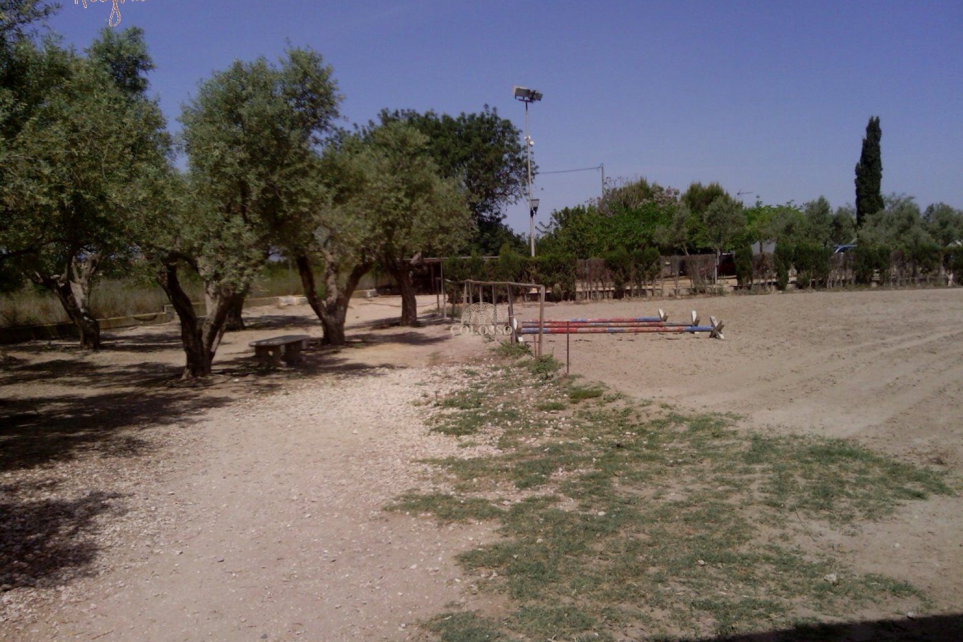 Reventa - Hacienda -
Elche