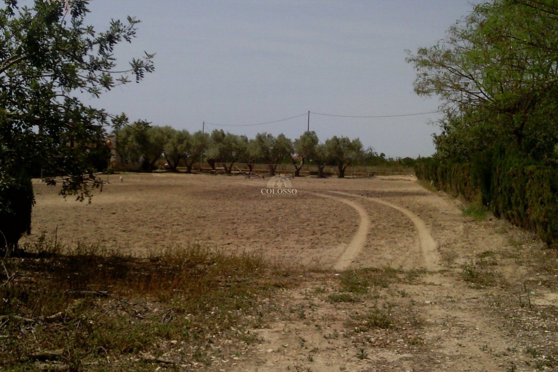 Reventa - Hacienda -
Elche