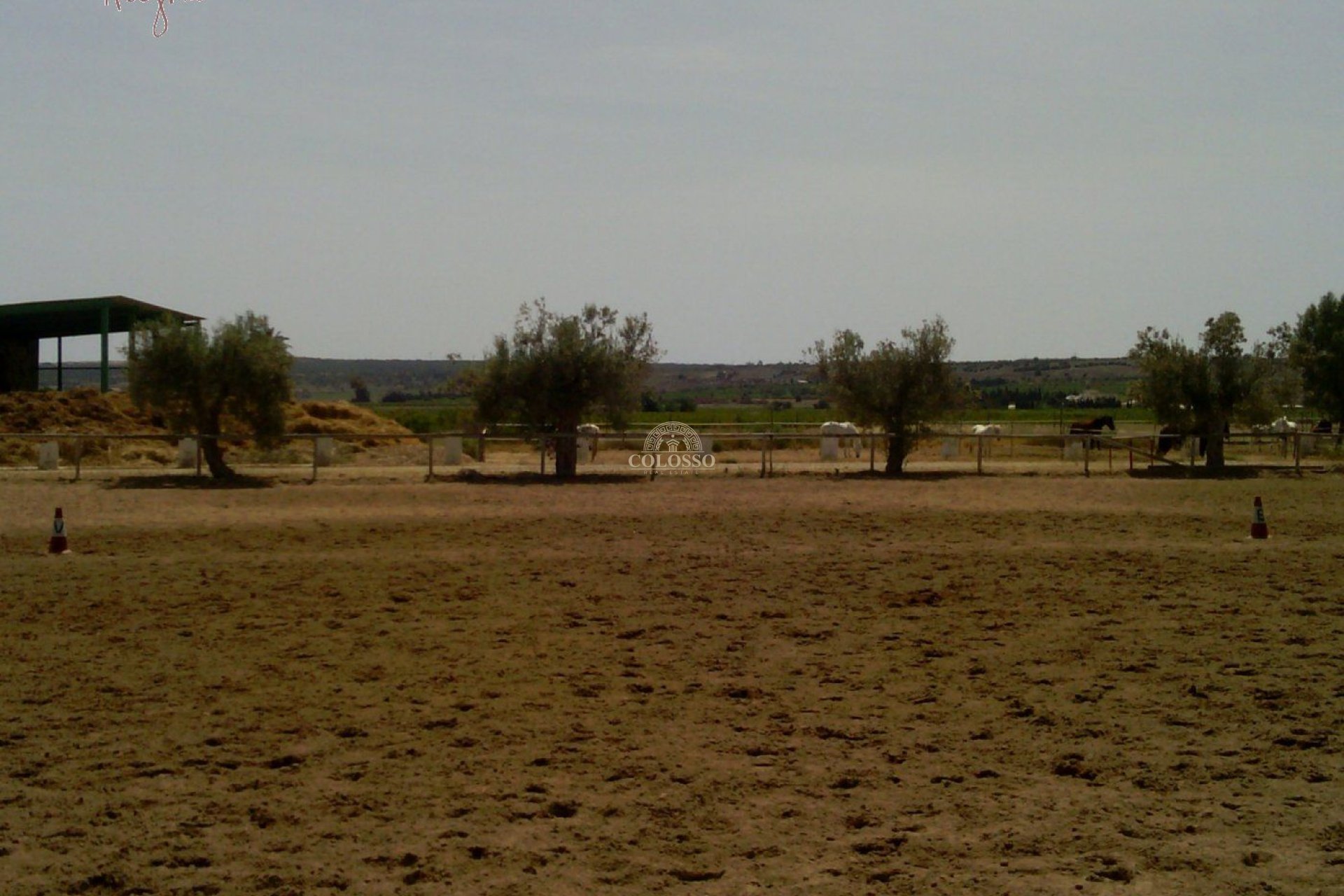 Reventa - Hacienda -
Elche