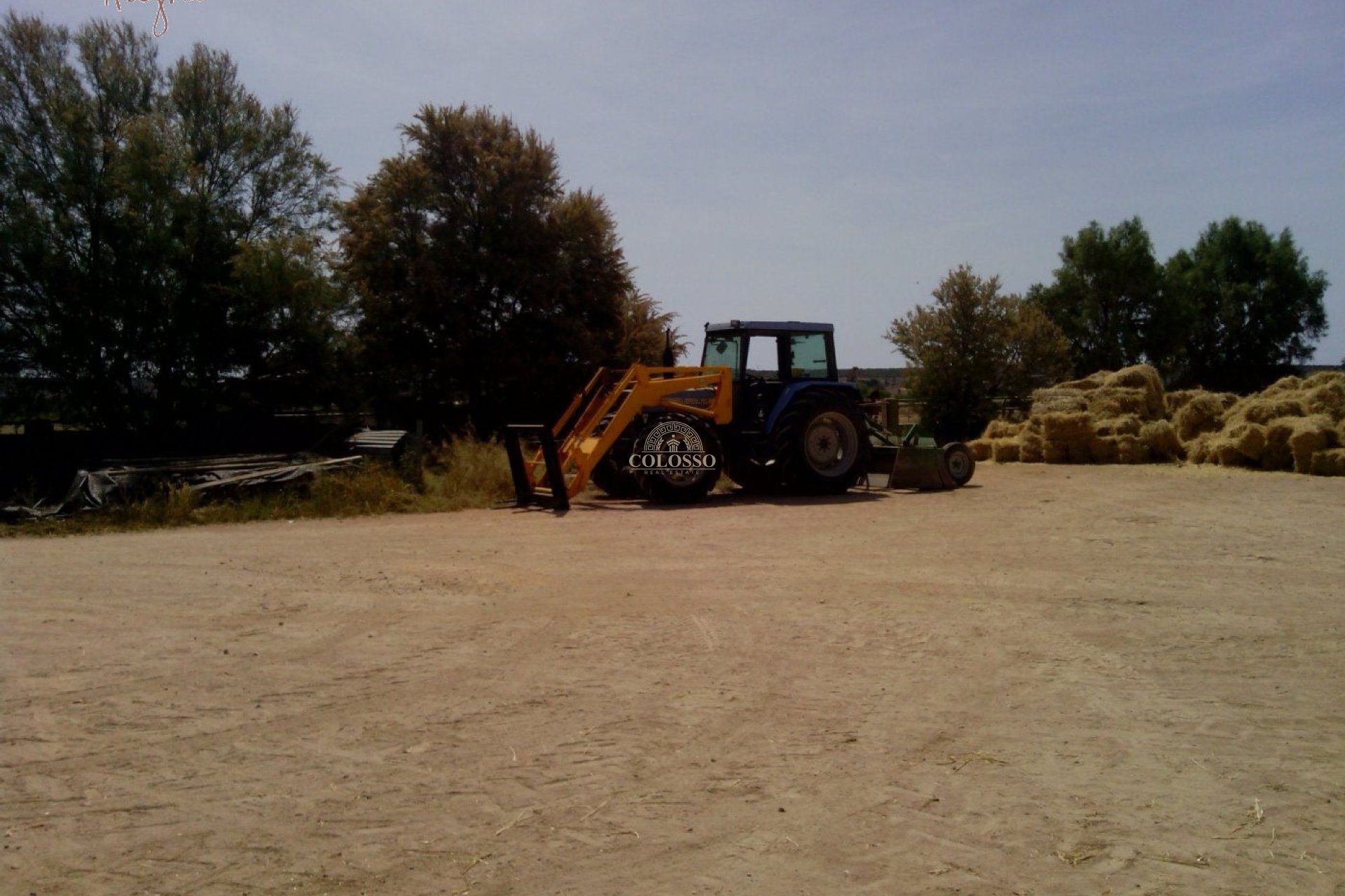 Reventa - Hacienda -
Elche