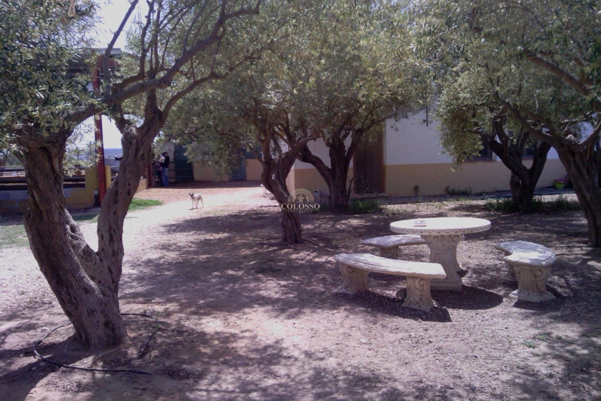 Reventa - Hacienda -
Elche