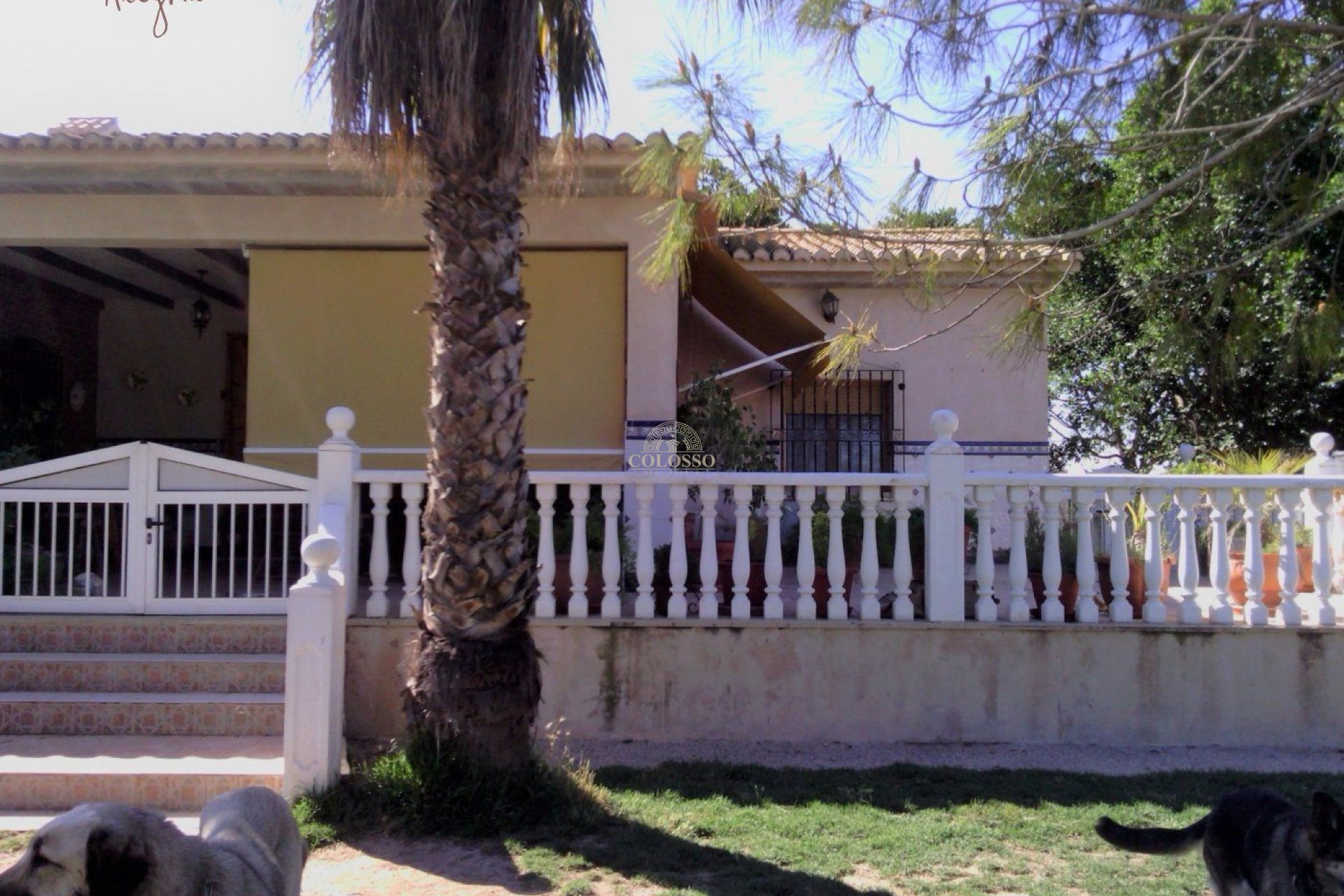 Reventa - Hacienda -
Elche