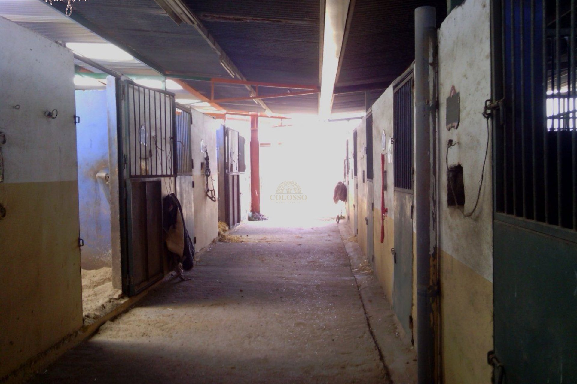 Reventa - Hacienda -
Elche