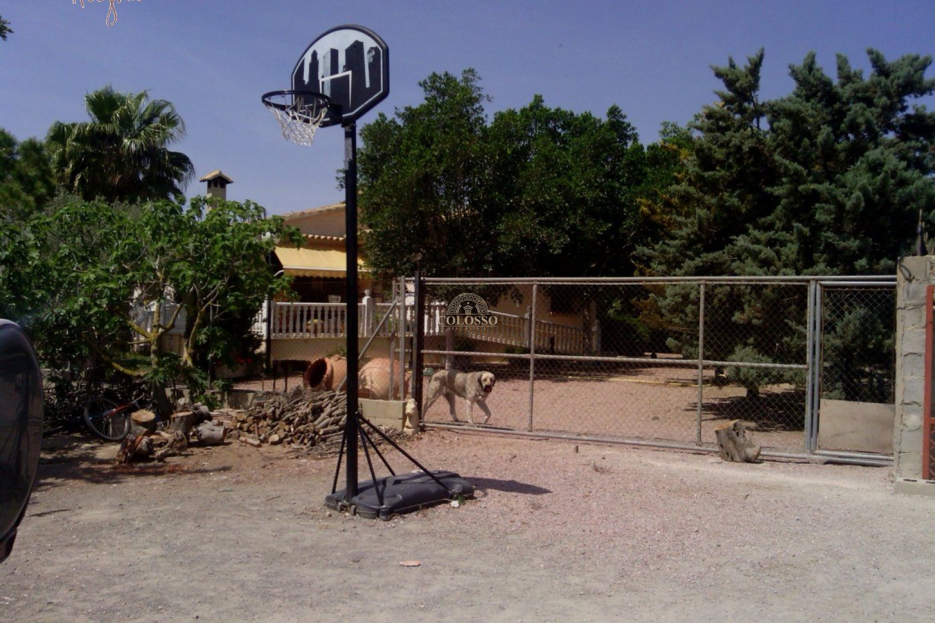 Reventa - Hacienda -
Elche
