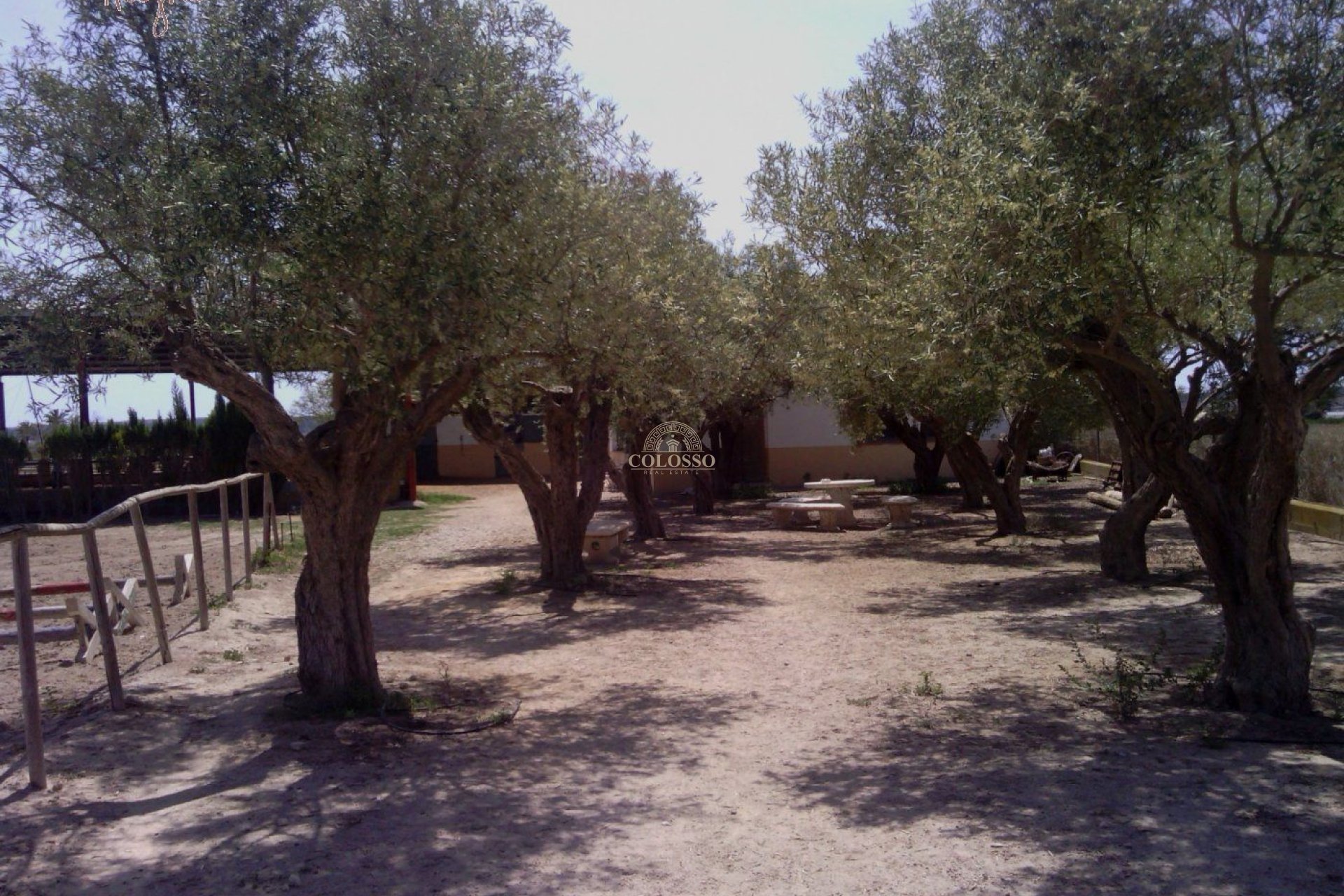 Reventa - Hacienda -
Elche
