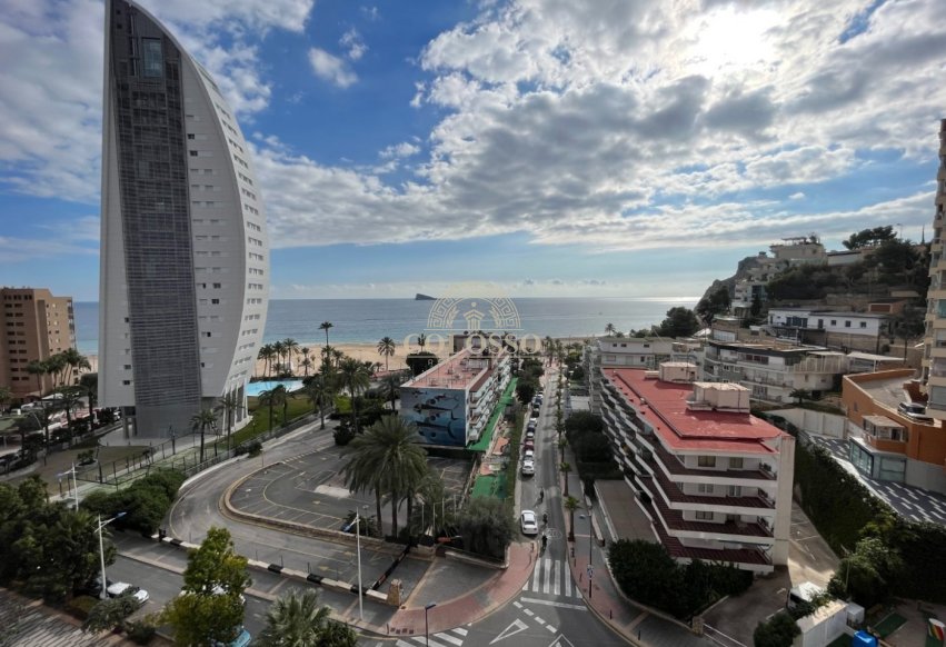 Reventa - Piso -
Benidorm - Poniente