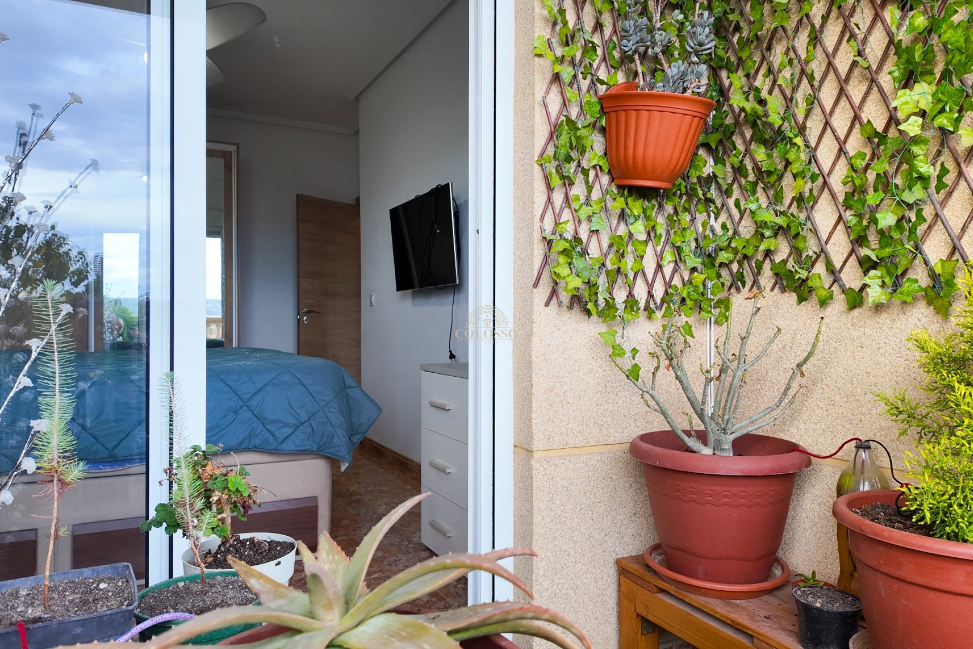 Revente - Appartement -
Rafal