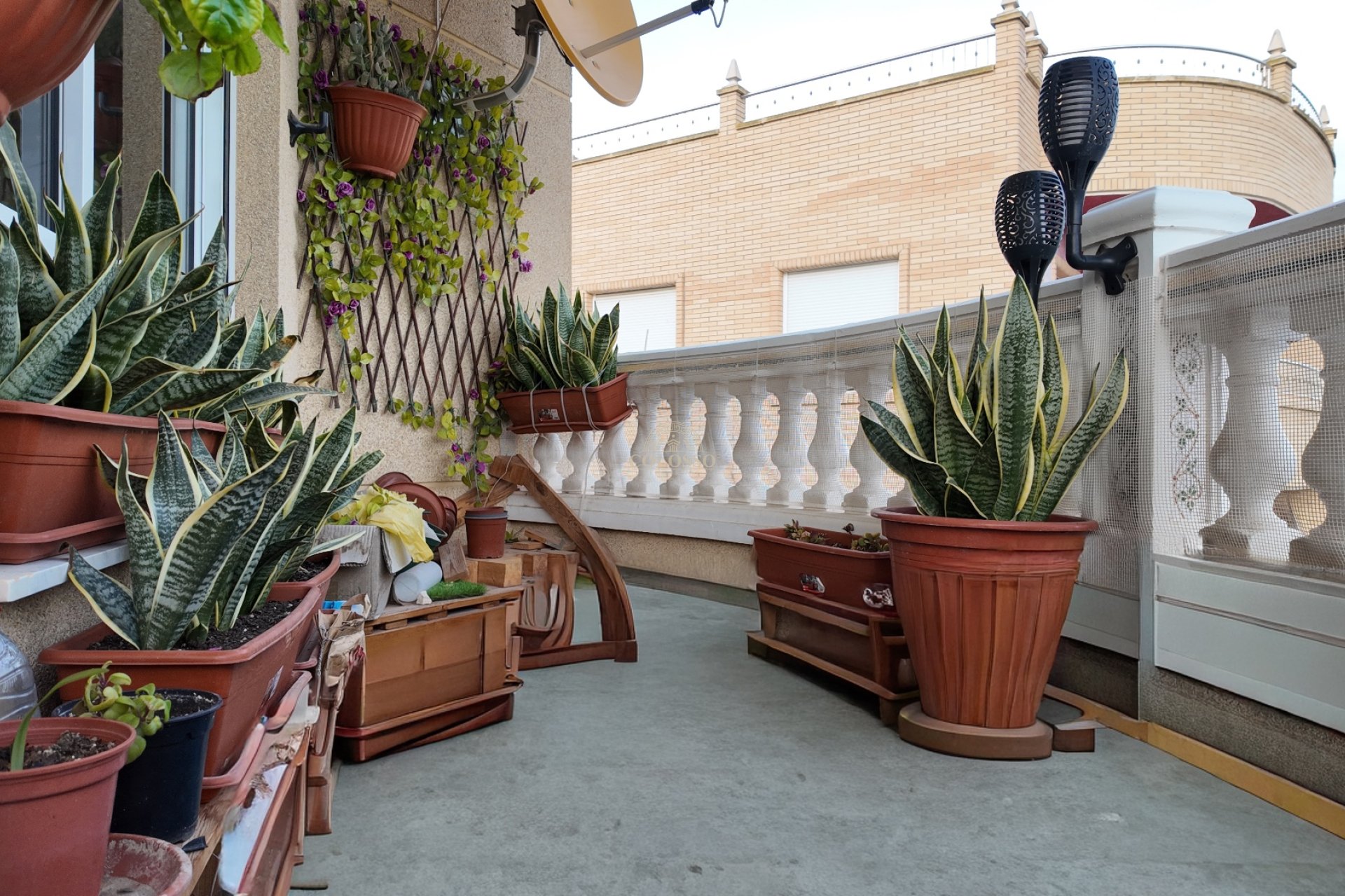 Revente - Appartement -
Rafal