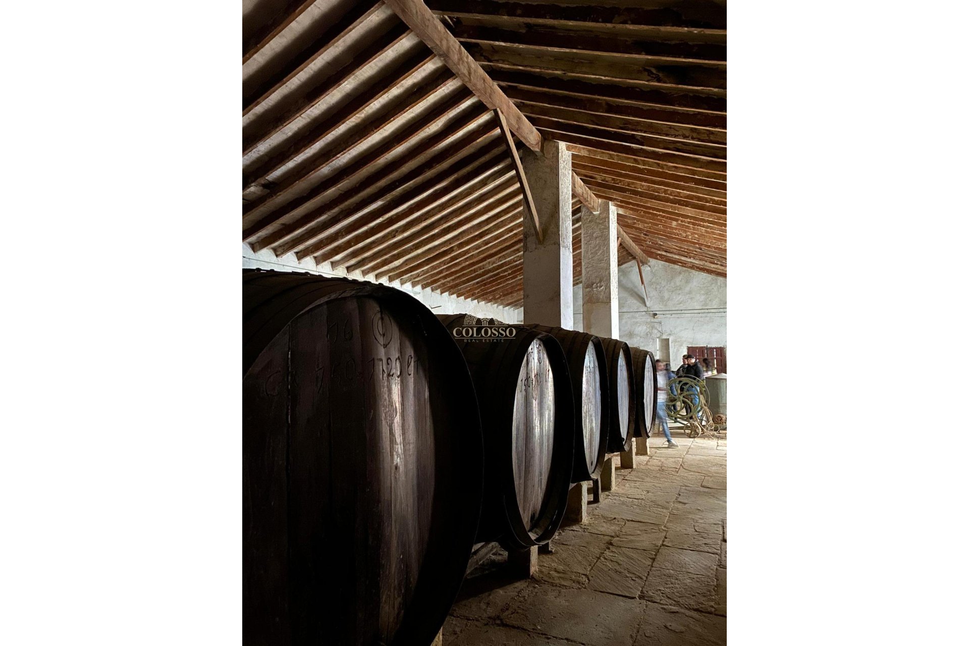 Revente - Bodega -
Pinoso - CENTRO
