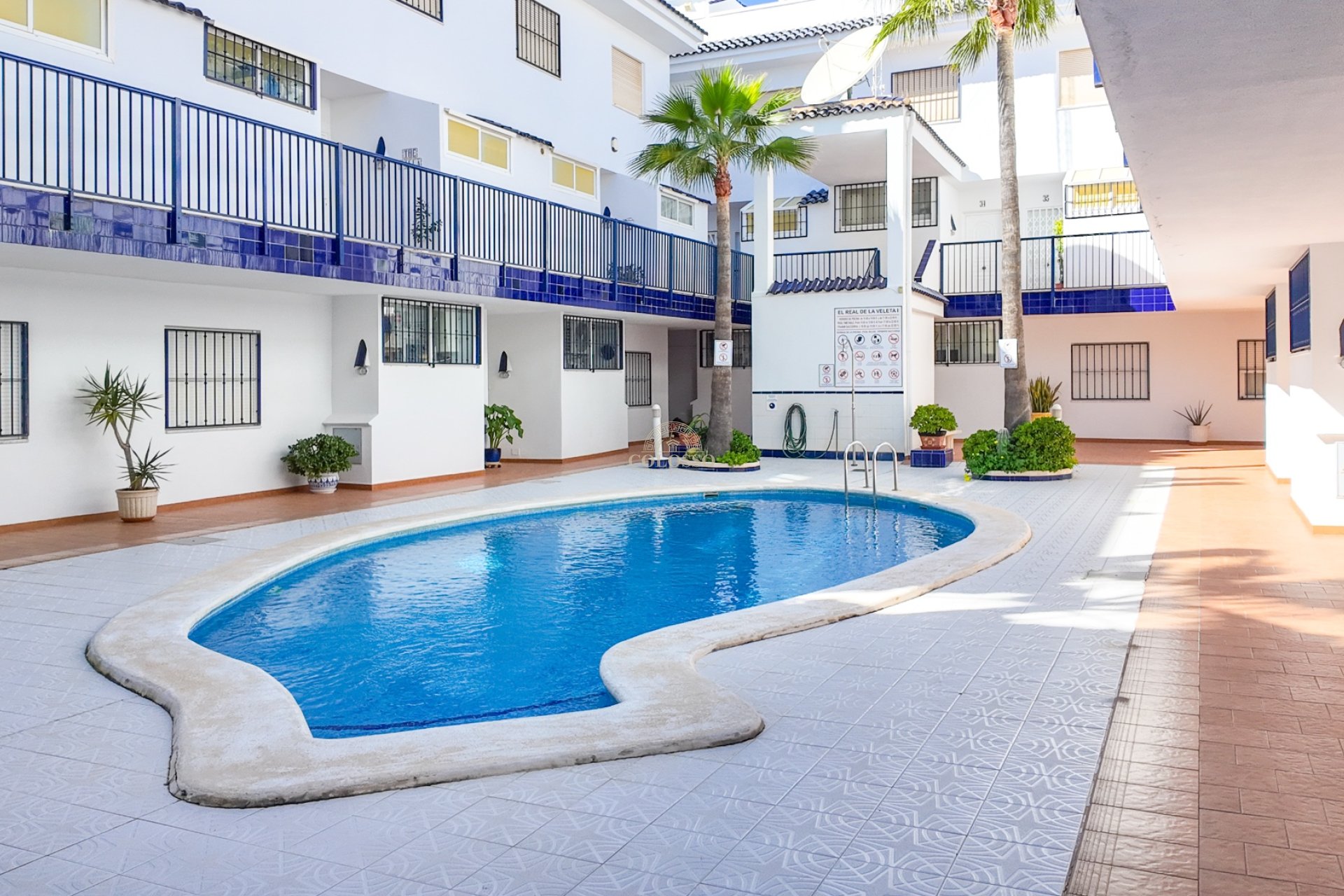 Revente - Bungalow Planta Baja -
Torrevieja - La veleta