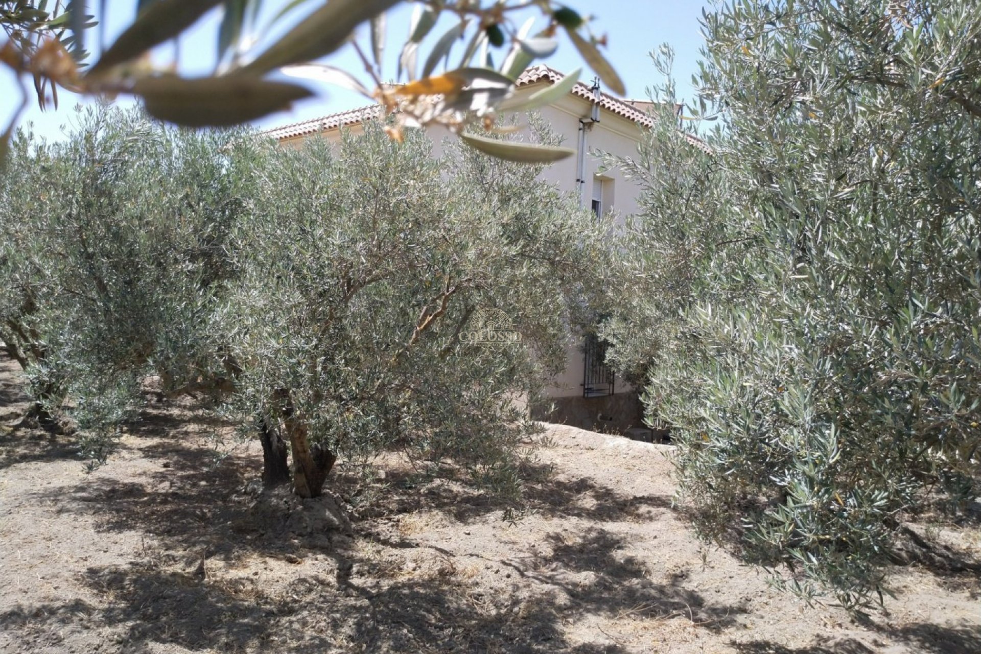 Revente - Casa con terreno -
Alsodux - ALMERIA