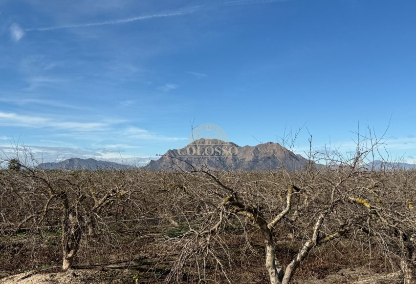 Revente - Finca rústica -
Almoradí