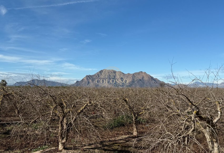 Revente - Finca rústica -
Almoradí