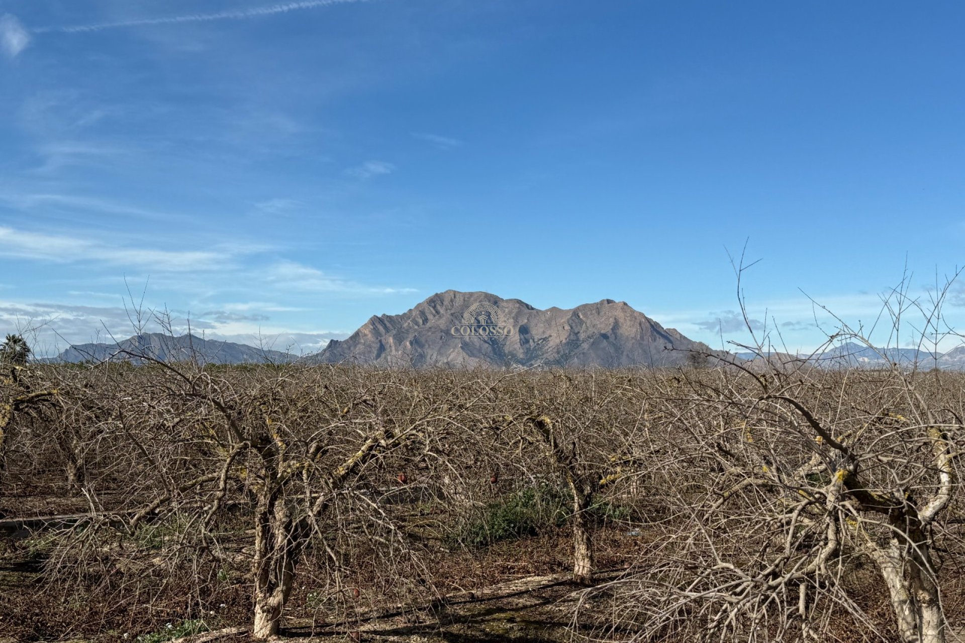 Revente - Finca rústica -
Almoradí