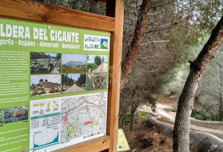 Revente - Finca rústica -
Almoradí