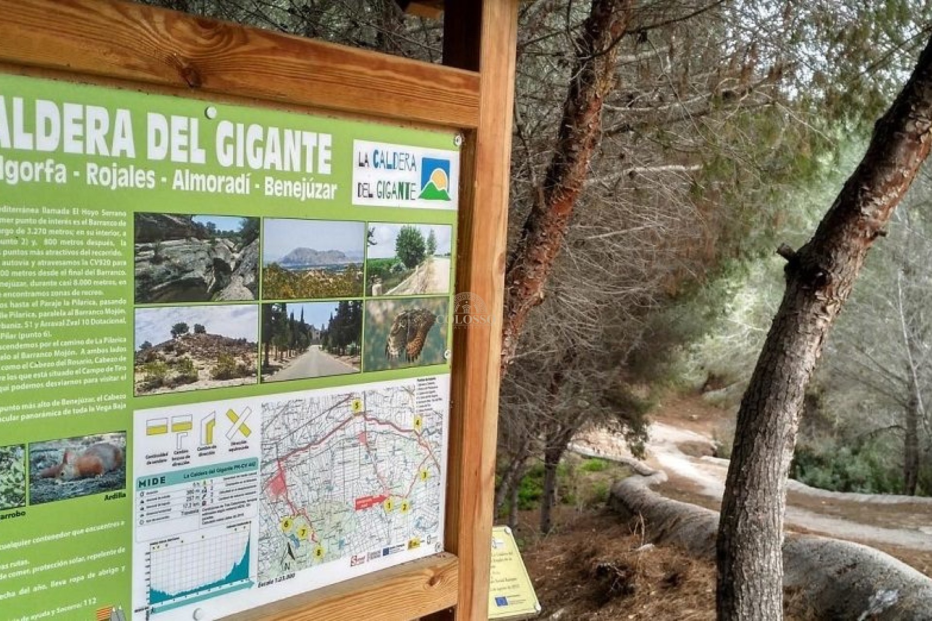 Revente - Finca rústica -
Almoradí