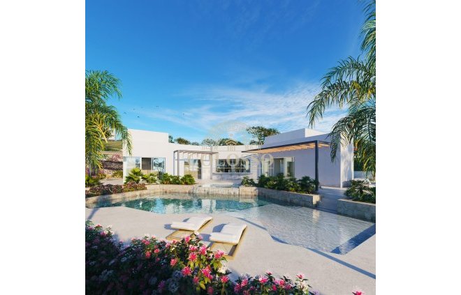 Villa - Obra nueva - Orihuela Costa -
                    Orihuela Costa