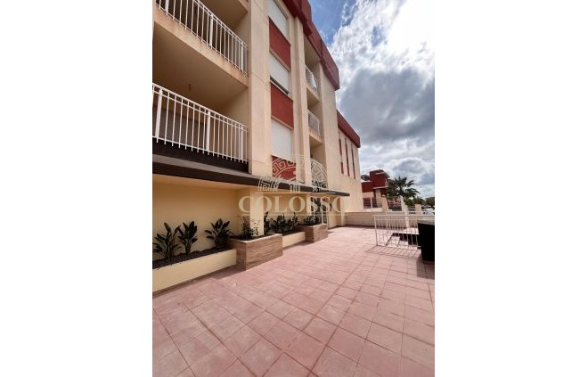 Nouvelle construction - apartment -
Orihuela Costa
