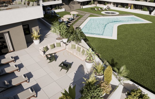 Nouvelle construction - apartment -
San Miguel de Salinas