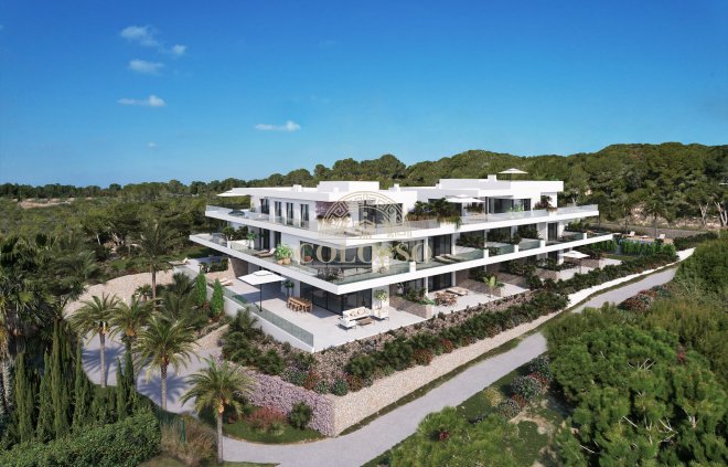 Obra nueva - Ático -
Orihuela Costa