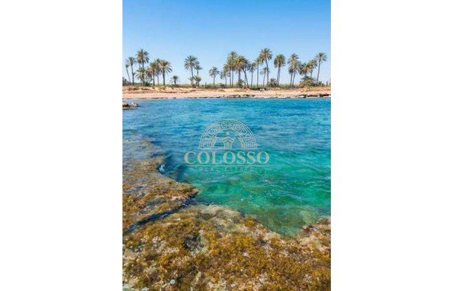 New Build - ground-floor -
Torrevieja