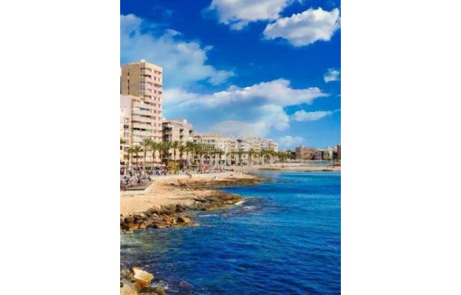 New Build - ground-floor -
Torrevieja
