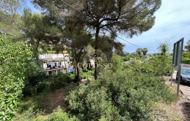Resale - Parcela -
Jávea - Xàbia - Costa Nova Panorama