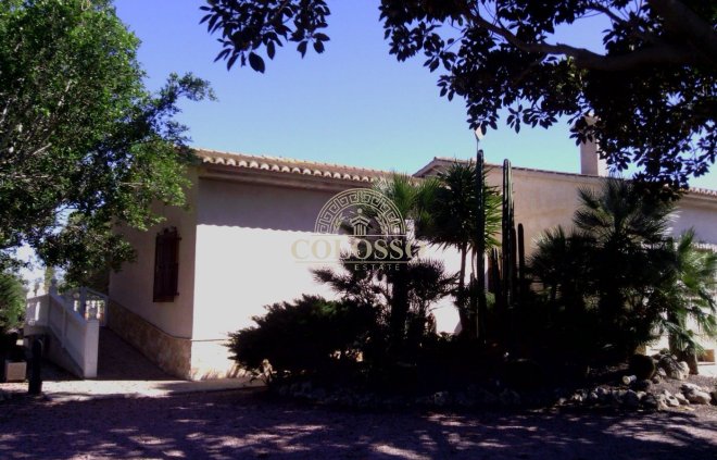 Reventa - Hacienda -
Elche