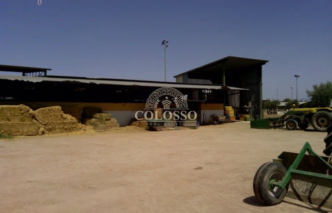 Reventa - Hacienda -
Elche