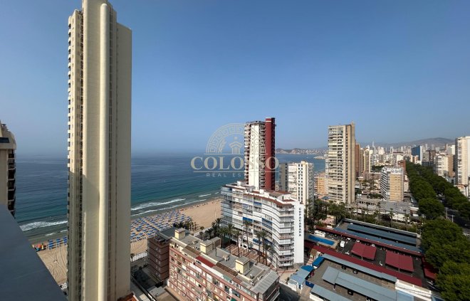 Resale - Piso -
Benidorm - Levante