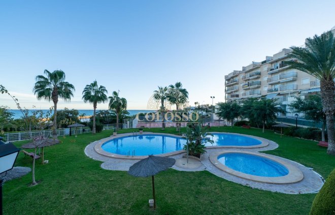 Alquiler - Apartamento -
El Campello - El poblet