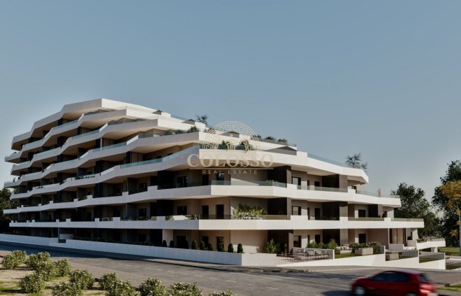 New Build - Planta baja -
San Miguel de Salinas - Pueblo