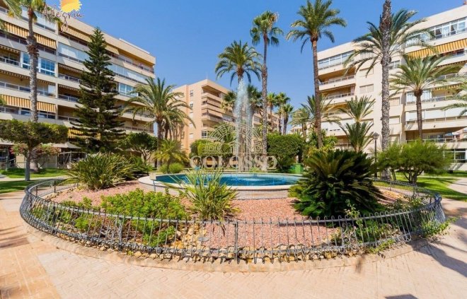 Resale - Penthouse -
Torrevieja - Playa de los Locos