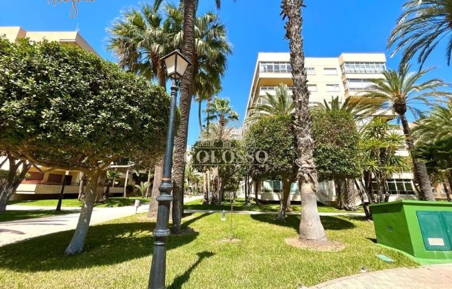 Resale - Penthouse -
Torrevieja - Playa de los Locos