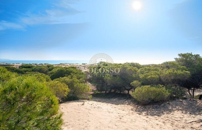 Resale - Chalet -
La marina - El Pinet Playa
