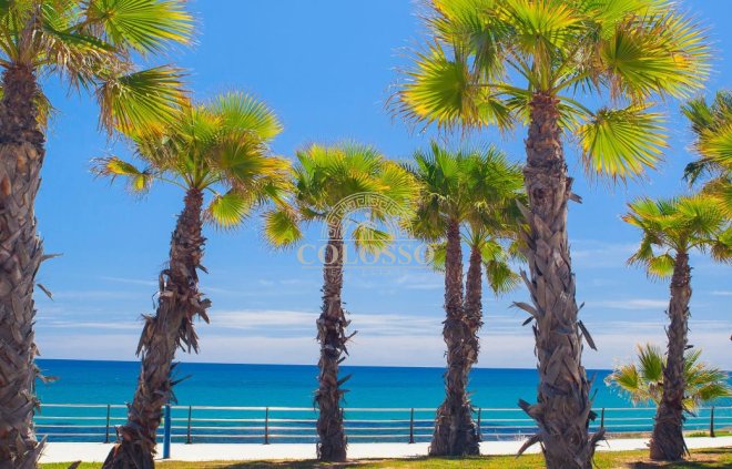 Nouvelle construction - detached -
Orihuela Costa
