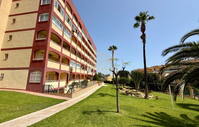 Rental - Apartamento -
La Mata