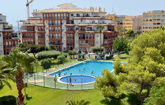 Rental - Apartamento -
La Mata
