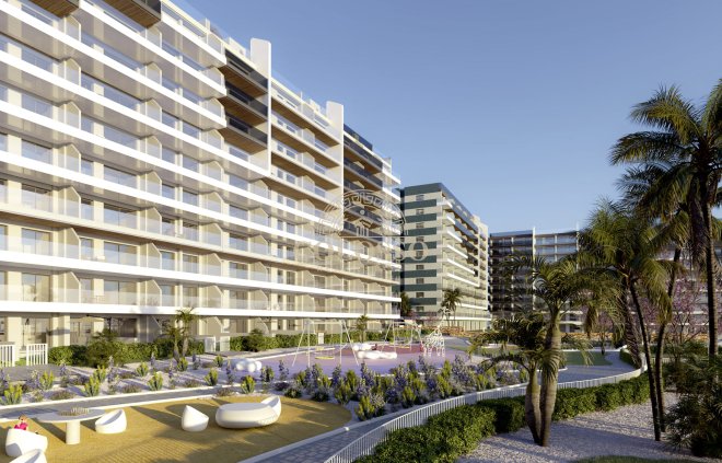 New Build - apartment -
Punta Prima