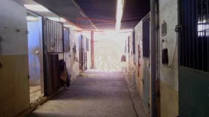 Reventa - Hacienda -
Elche