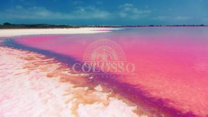 Obra nueva - high-bungalow -
Torrevieja