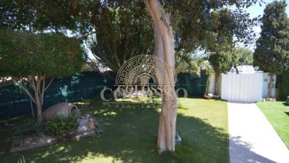 Resale - Villa -
Torrevieja - Centro
