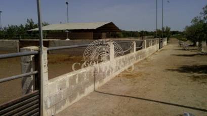 Reventa - Hacienda -
Elche