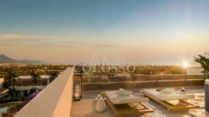 Obra nueva - Pareado -
Alicante - Vistahermosa